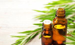 Tea Tree Oil Shows Promise in Treating Acne, Eczema, and Psoriasis
