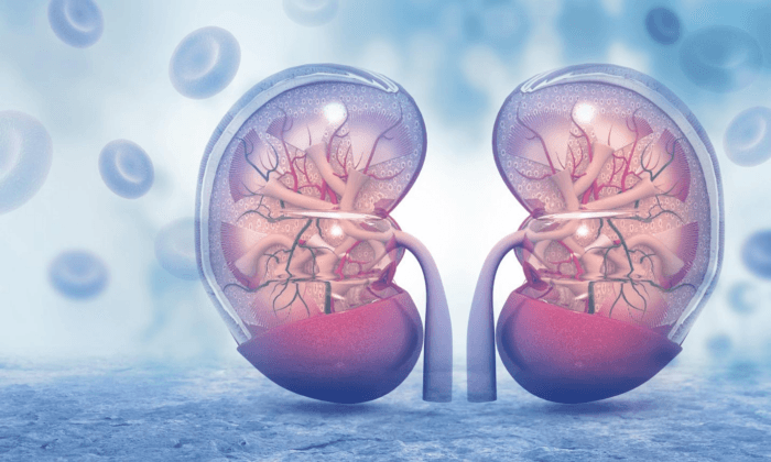 Widely Prescribed Diabetes Drug May Pose Kidney Risks in Some Patients: Study