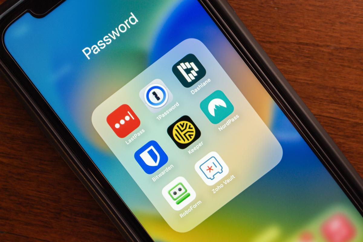 Password Managers for Beginners: Can They Really Keep Your Accounts Safe?