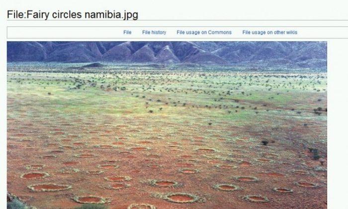 Fairy Circles Mystery Solved in SW Africa, Study Claims