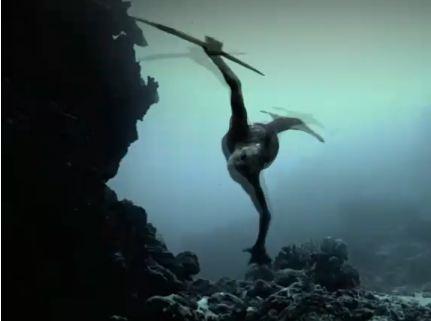 Mermaids New Evidence 2013: Discovery Channel’s New Special Explores Mermaids (+Videos)