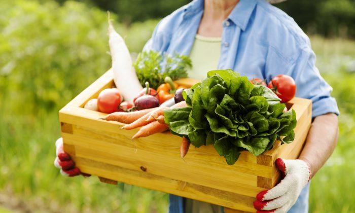 Choosing Nutrient-Dense Food