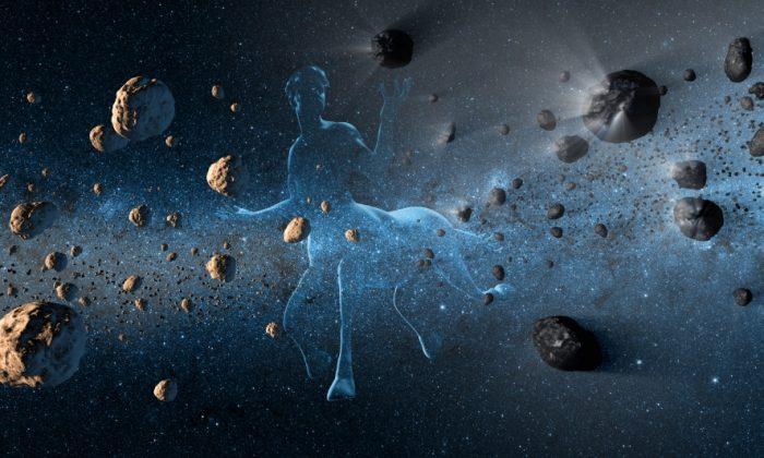NASA WISE Telescope Could be Used to Hunt Asteroids on Collision Course