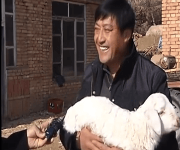 Video: Mongolian Lamb Born With Extra Legs