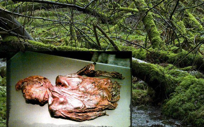 Clonycavan Man: A 2,300-Year-Old Murder Mystery