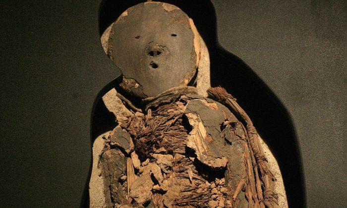 Case of the Rotting Mummies