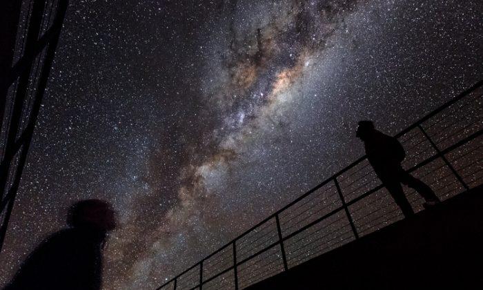 Hidden in Plain Sight: The Milky Way’s New Companions