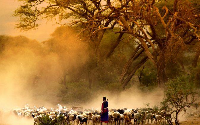 5 Unmissable Tanzanian Experiences for 2015