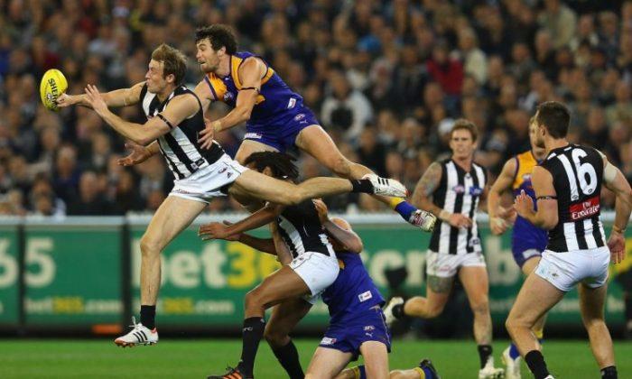 Battles of the Birds: AFL Teams Fly into Preliminary Finals