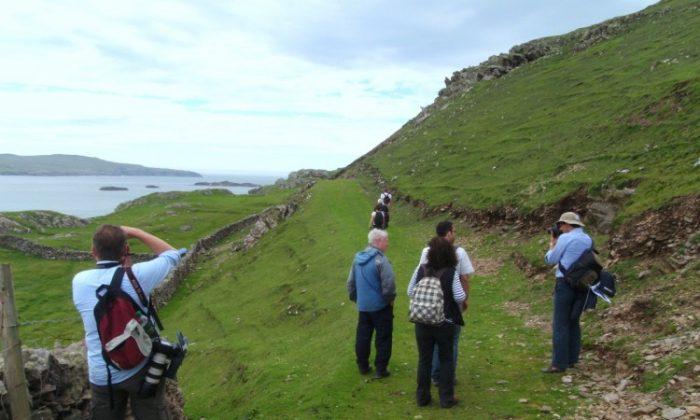 White Cow Island and Other Irish Treasures