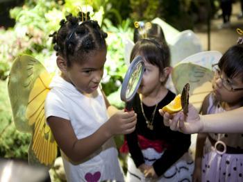 Butterfly Exhibit Mesmerizes at Natural History Museum