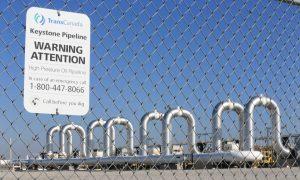 Keystone Pipeline Shut Down After Rupture in North Dakota, Oil Spill Contained