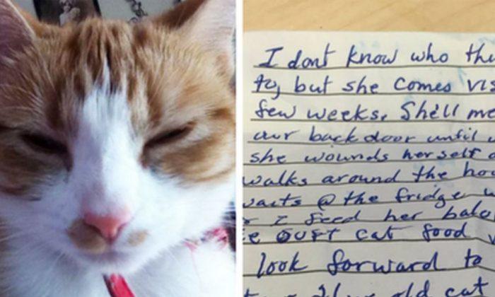 Cat Returns Home From Wandering With a Note Explaining Its Whereabouts