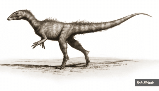 ‘Oldest Known Jurassic Dinosaur’ Found in Wales (Video)
