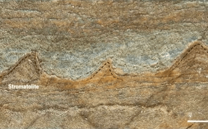 3.7 Billion-Year-Old Fossils Could Be World’s Oldest (Video)