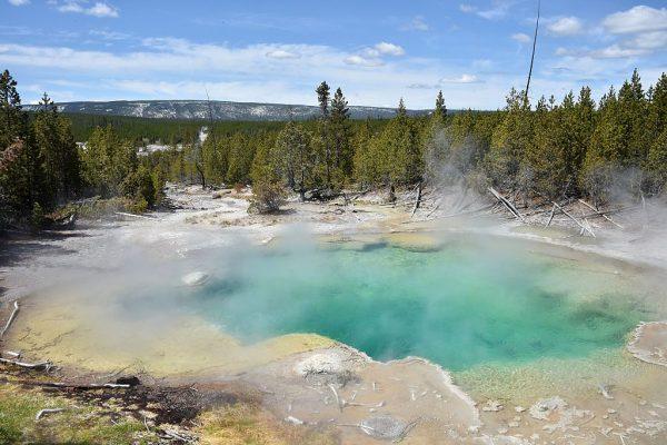 A view of a hot spring at the Norris Geyser Basin at Yellowstone National Park on May 12, 2016. (Mladen Antonov/AFP/Getty Images)