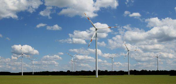 Power-generating wind turbines in a field near Gerdshagen, Germany, on June 22, 2012. (Sean Gallup/Getty Images)
