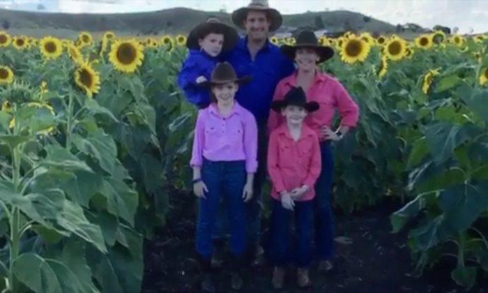 Australian Farmers Grow 42,000 Sunflowers to Raise Awareness for Stillbirth