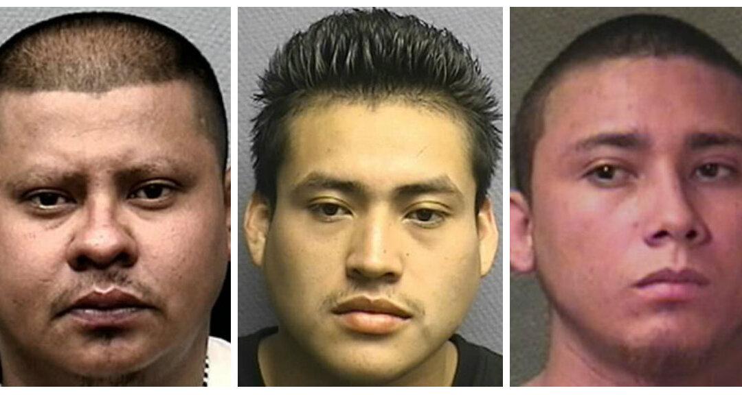 Three MS-13 Gang Members Sentenced to Decades in Prison For ‘Brutal Slaying’