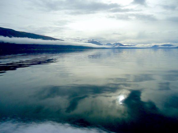 Grey waters of Grindøysundet. (Susan James)