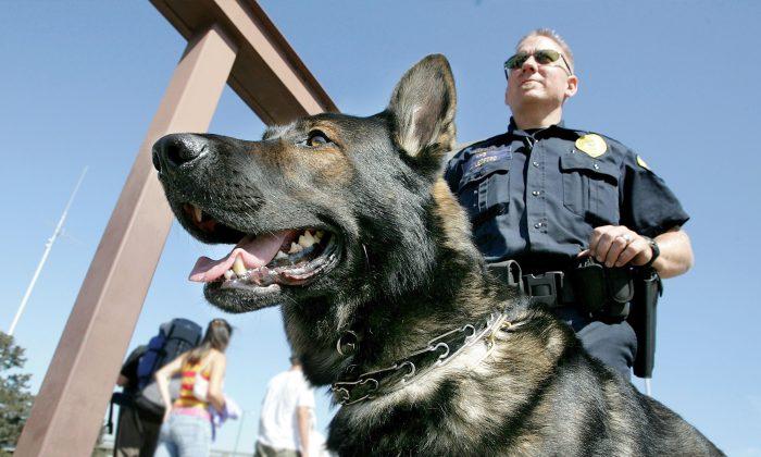 California to Consider Banning ‘Racist’ Police K-9s for Arrests, Crowd Control