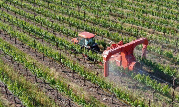 Ontario Court Certifies Billion-Dollar Class Action Lawsuit Over Monsanto’s Roundup Herbicide