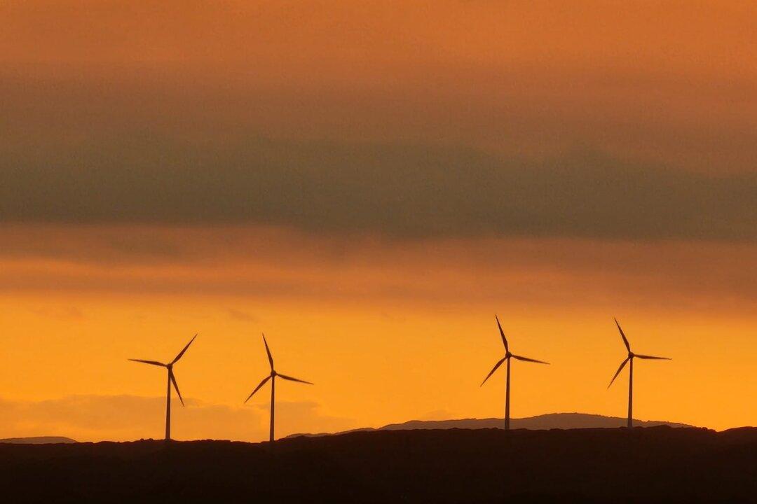 Liberal Senator Concerned Labor’s Climate Change Strategy Is Driving Australia ‘Off a Cliff’
