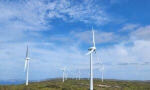 Queensland Pauses All New Wind Farm Developments, Introduces Tougher Rules for Approval