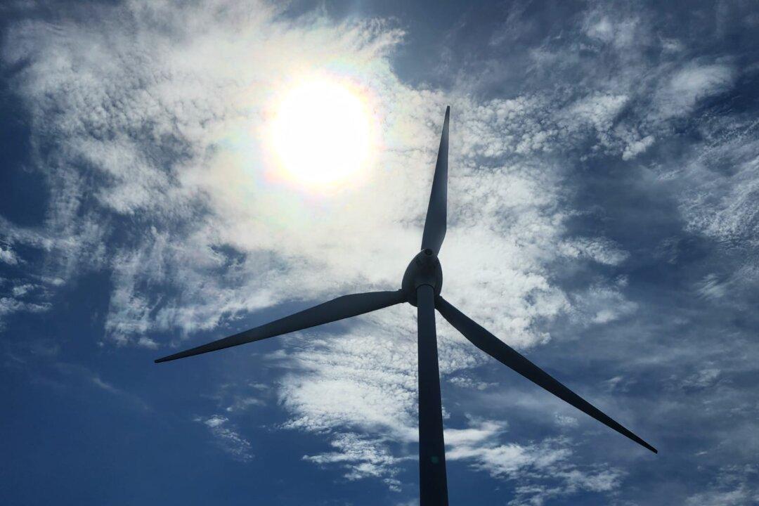 $530 Billion, 59,000 Workers Needed for 2035 Climate Goals: BCA Report