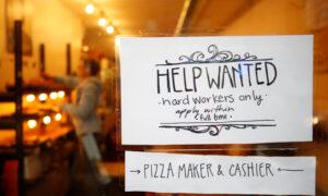 Rising Canadian Unemployment Rate Due to Population Expansion, Not Job Losses: CD Howe Report
