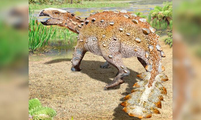 New Dinosaur Species From Chile Had a Unique Slashing Tail