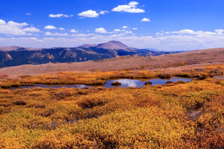 The scenic view from the top of Lost Mountain, in Chaffee County, CO., in the the autumn. The route is by four-wheel drive and often turns into a single lane road. (Cat Rooney)