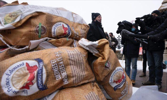 Ottawa Announces $28 Million to Help PEI Potato Growers Cope With Export Ban