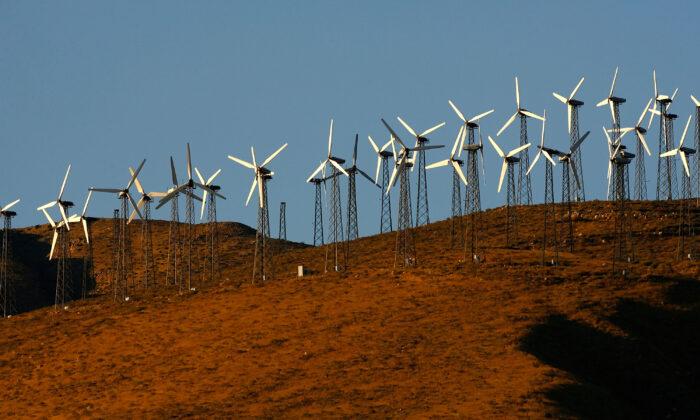 Giant wind-powered turbines are seen on hills near Palm Springs, Calif., on May 13, 2008. (David McNew/Getty Images)