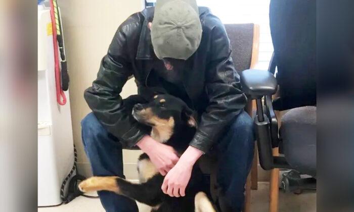 Homeless Teen Living Under Bridge Reunites With Puppy He Surrendered to Animal Shelter