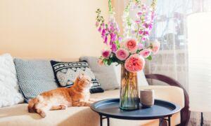 Foxglove Plants Are Toxic to Pets
