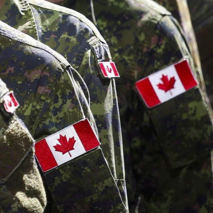 Ottawa Spent $9.5M on Military Diversity Programs Since 2015: Document