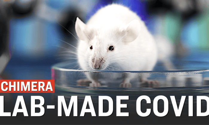 US Lab Creates ‘Chimera’ COVID Strain That Killed 80 Percent of Mice Studied | Facts Matter