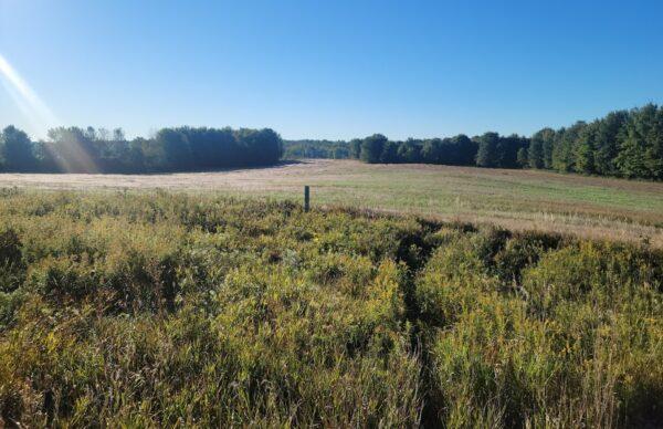 A view of the site for a proposed Chinese EV battery plant in Green Charter Township, Michigan. (Courtesy of Green Charter Township Supervisor Jim Chapman)