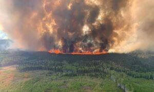 Alberta, BC Order Wildfire Evacuations in Northern Regions