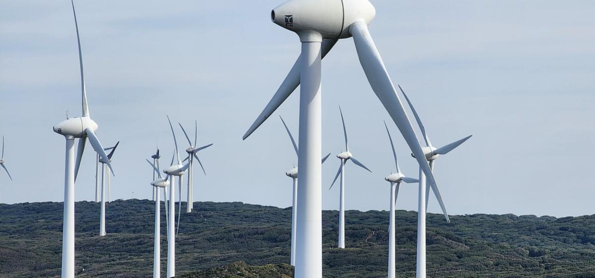 Wind turbines can be seen in Albany, Western Australia, on Aug. 4, 2023. (Susan Mortimer/The Epoch Times)