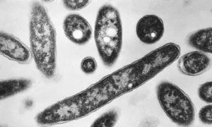 100 Cases of Legionnaires Disease in Victoria