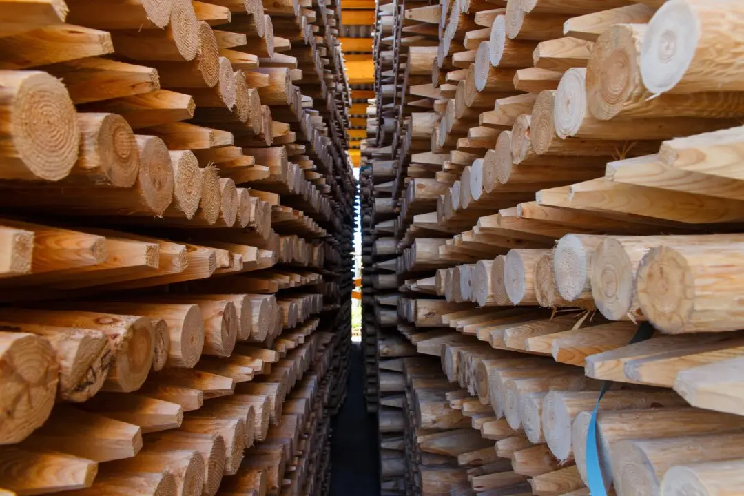 Rayonier and PotlatchDeltic Merge to Form Second-Largest Timber Company in North America