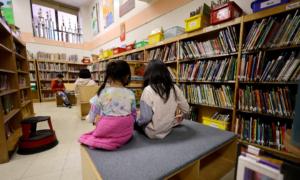 Dire NAPLAN Results Show 1 in 3 Failing Basic Literacy, Numeracy