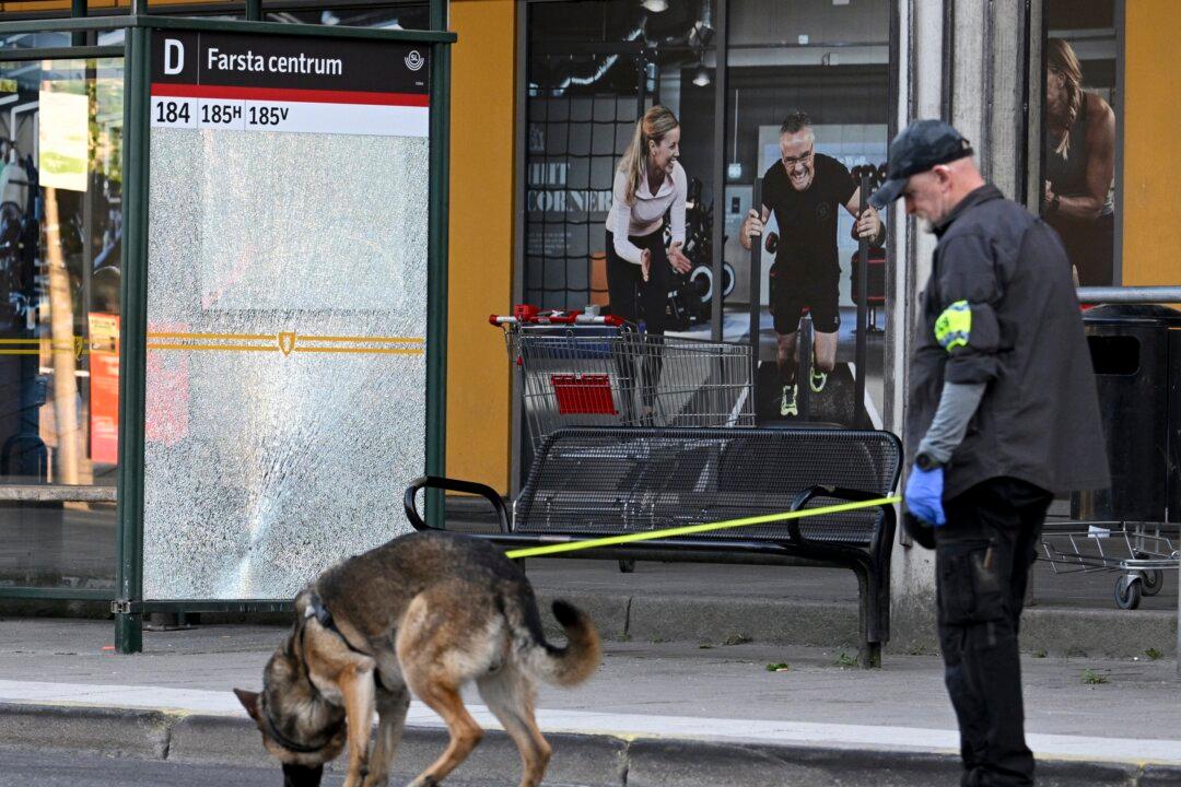 In Sweden, Public Interest Battles to Compete With Deep Culture of Privacy
