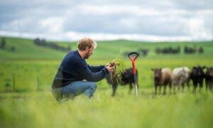 The Spiritual Implications of Regenerative Agriculture