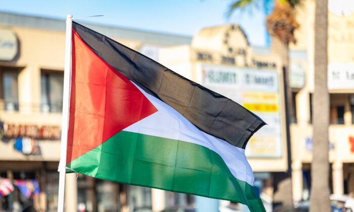 San Diego State University Students Stage Walkout, Call to Divest From Israel