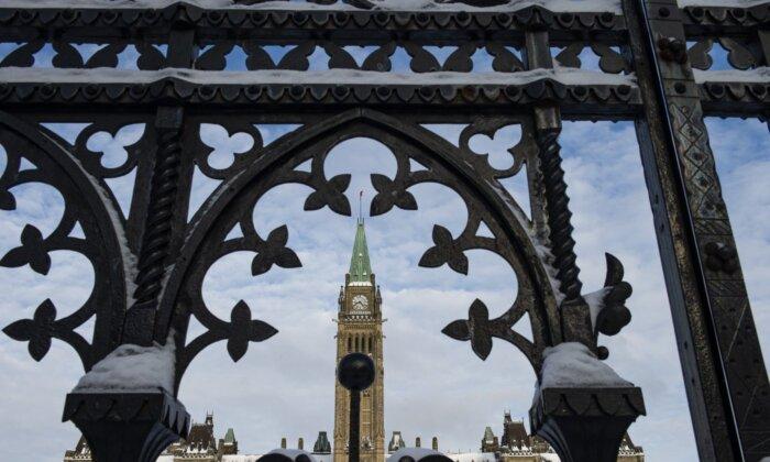 Less Than Half of Canadians Think Government Respects Rights and Freedoms: Report