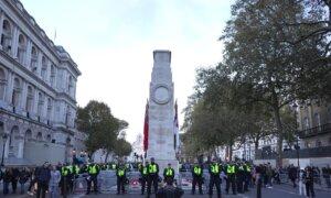 Met Police Arrest 145 in Armistice Day Protests