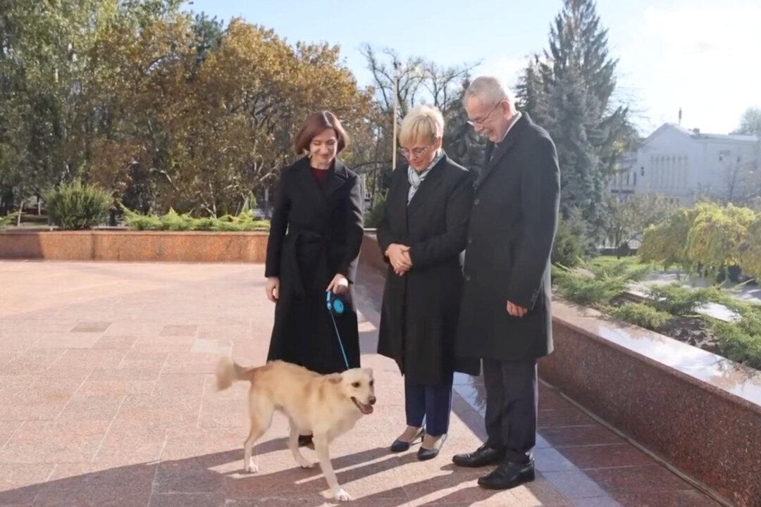 Moldovan Dog Bites Man—but This Time, a President